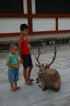 4276/東大寺境内の鹿と子どもたち