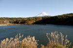 1356/精進湖からの富士