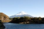 1359/精進湖からの富士