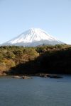 1352/精進湖からの富士