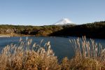 1355/精進湖からの富士