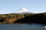 1353/精進湖からの富士