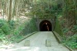 2506/旧東海道宇津ノ谷トンネル（明治のトンネル）
