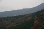 1345/明神峠からの富士