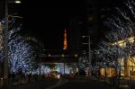 5115/六本木ヒルズのライトアップと東京タワー